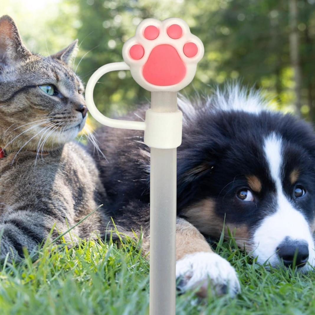 Strohhalm Topper - Hundepfote